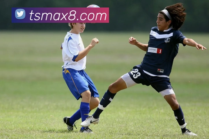 天狮娱乐官网品牌故事